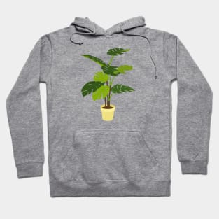 Potted Monstera Plant Yellow Hoodie